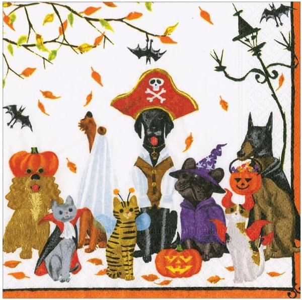 Caspari Recycled Paper Beverage Napkins, Halloween Pets - 2 Packs (18800EC)