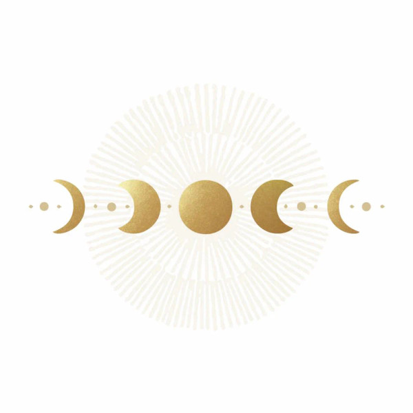 Paperproducts Design Beverage Napkins, Luna & Solis - 2 Packs (125002309)