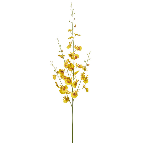 Raz Imports Dancing Orchid Stem, Yellow - 27" (F4615313)