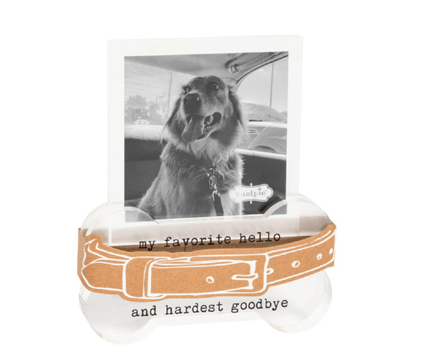 Mud Pie Favorite Hello Collar Memorial Frame (46900773F)