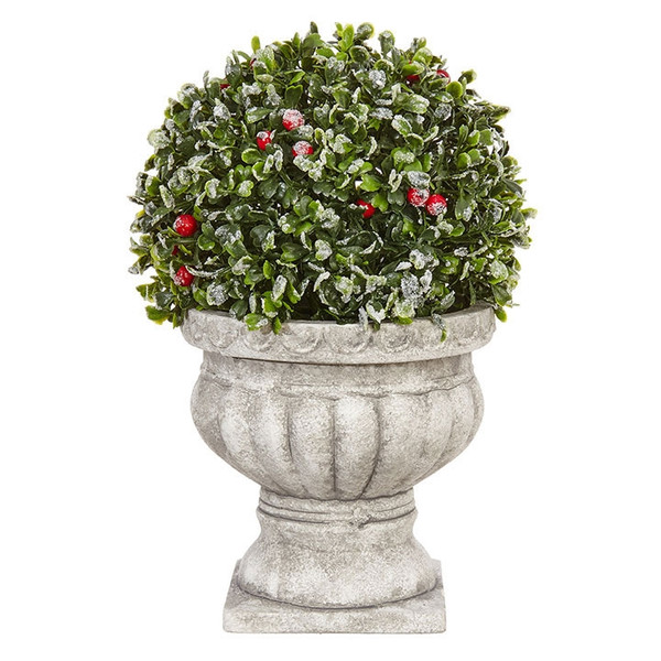 Raz Imports 10.5" Iced Boxwood Topiary