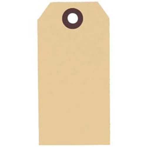 Plain #4 Manila Tags (1,000 per Box)