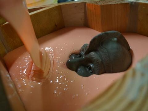 Mold Making Tutorial: Silicone Mold of Clay Sculpture - Polytek