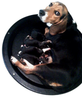 our dog bayou bodee on a heated whelping nest with her pups - nest available at okie dog supply