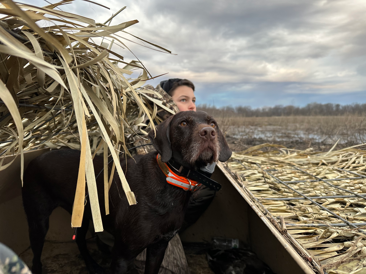 duck blind time with dog in 1 inch reflective okie dog collar