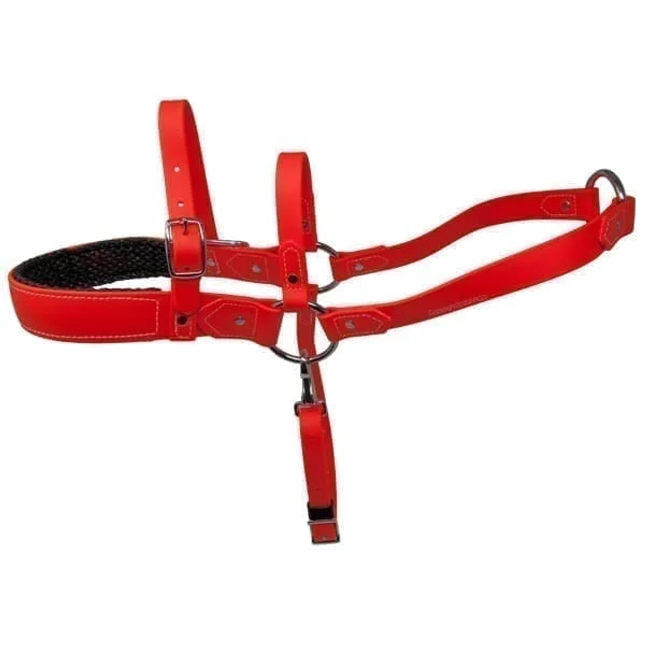 bright orange roading harness