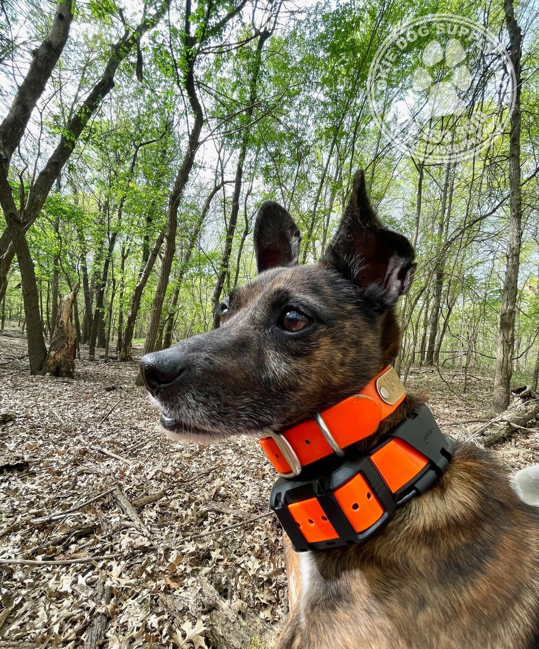 storm showing fit of the garmin tt25 while squirrel hunting