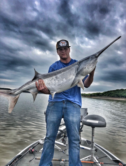 Jared with a huge spoonbill snagged using the Garmin Livescope - this prehistoric Oklahoma fish weighed in at over 68 pounds!