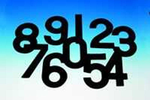 Black 11inch competition numbers Black 11inch competition numbers