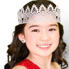 DIY Large Metallic Silver Crown DIY Large Metallic Silver Crown