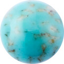 Round Cabochon Turquoise Matrix 25mm