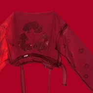 Eco-Conscious Color: Brilliance in Preciosa Crystals
