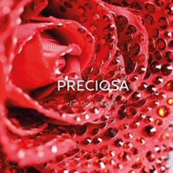 FAQ from Preciosa Components