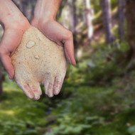 Ethical Crystal Brands | Sustainable Business Practices