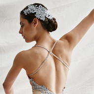 Standing Ovation for Swarovski® Crystallized Appliqués