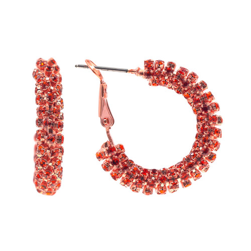 Starlight Crystal Jewelry™ Pave Hoop Earring Hyacinth 20mm Pierced