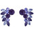 Starlight Crystal Jewelry™ Dance Sport Earring Purple Velvet/Tanzanite Pierced