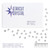 Starcut Crystal Flatback Rhinestones Light Chrome 30ss