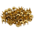 Nailhead Pearl Long Leg 20ss - Gold - 10 gross