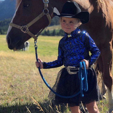 Ideas for Decorating Horse Tack Costumes With Rhinestones