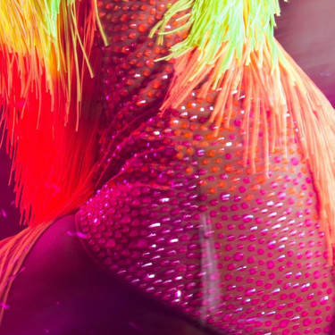 Feel the Rhythm with Preciosa® Crystal Neons