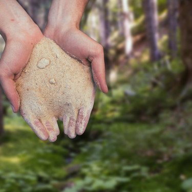 The Ethical and Sustainable Business Practices of our European Crystal Brands