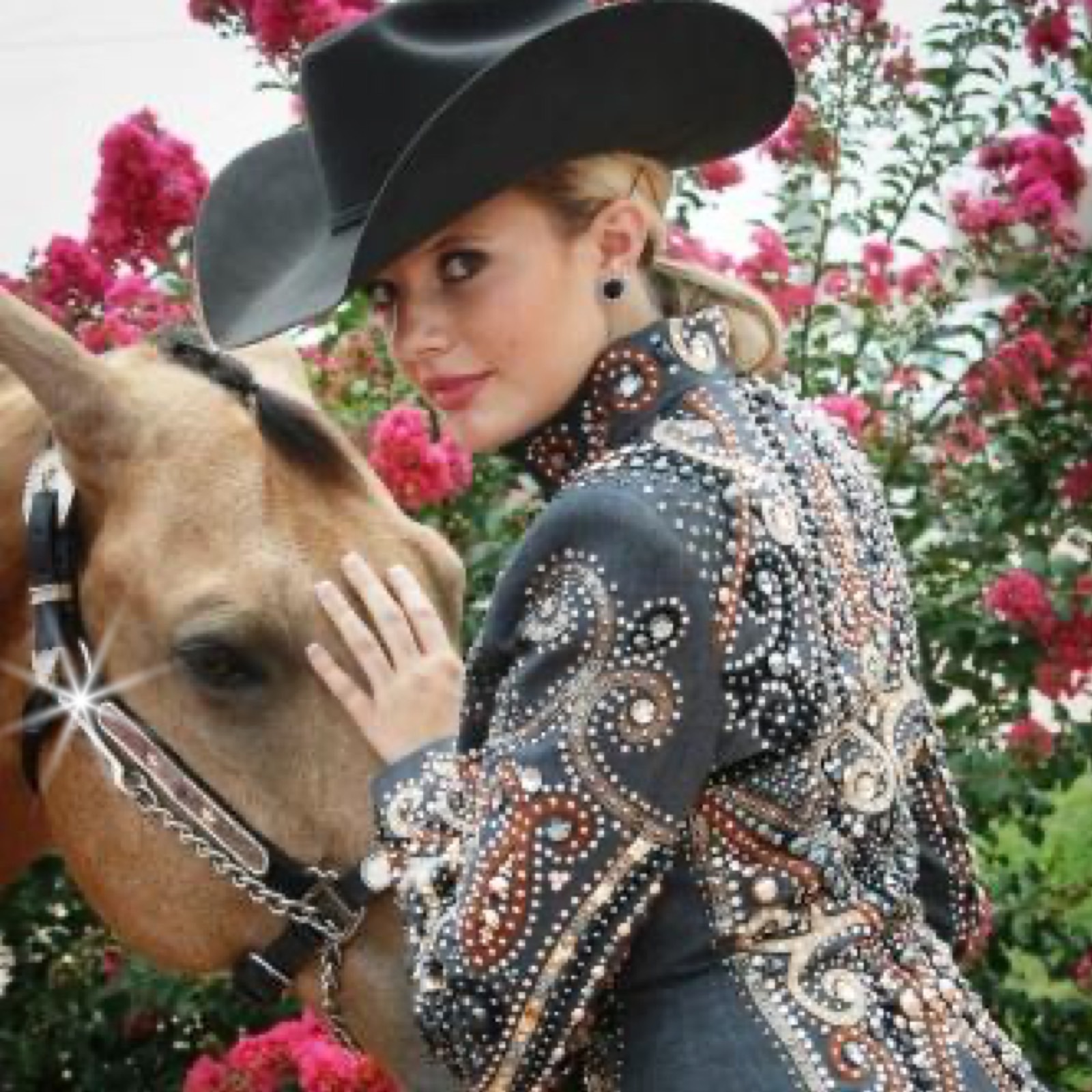 rhinestone horse tack