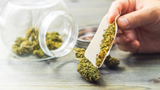 Unlocking the Art of Herb Preparation: Weed Grinders and the Art of Rolling Joints