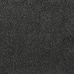INTAGLIO Dolphin