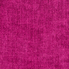 PERF BECK Fuchsia