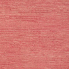 FRAISER Tulip