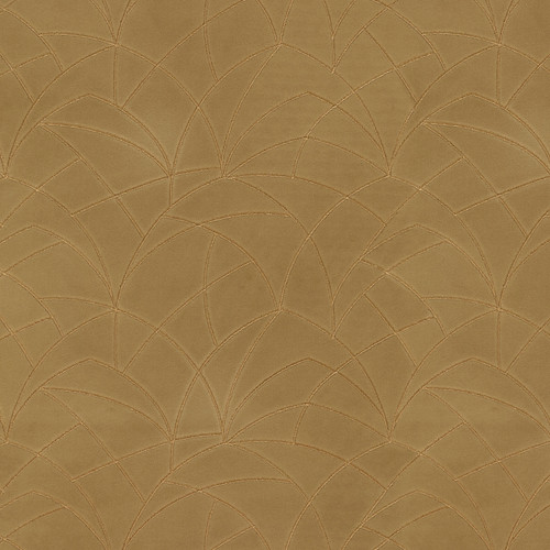 CURVATURE EMB Golden