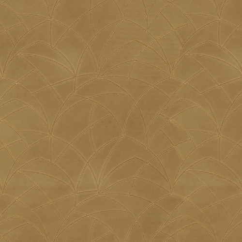 CURVATURE EMB-PRM Golden
