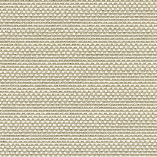 BREUER-PRM Parchment