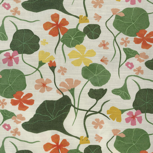 NASTURTIUMS-PRM Nectar