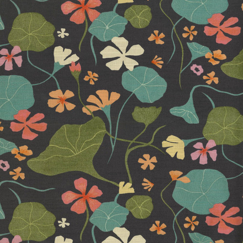 NASTURTIUMS Coal