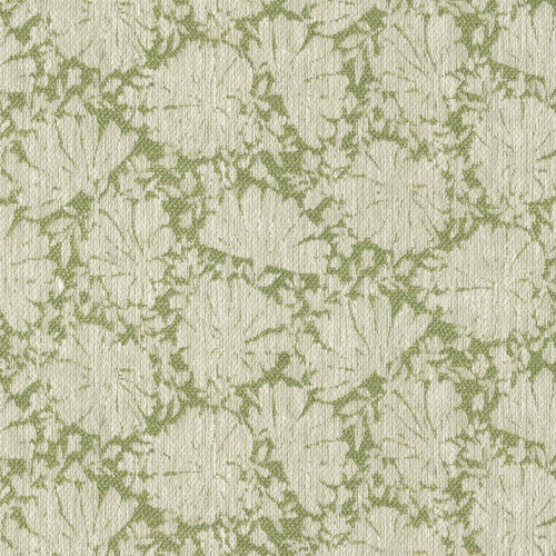 LITTLE LOTUS Willow