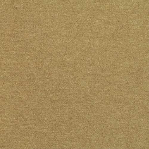 PERF FELICE Graham Cracker   Nla