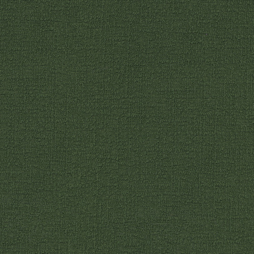 CIRRUS Moss