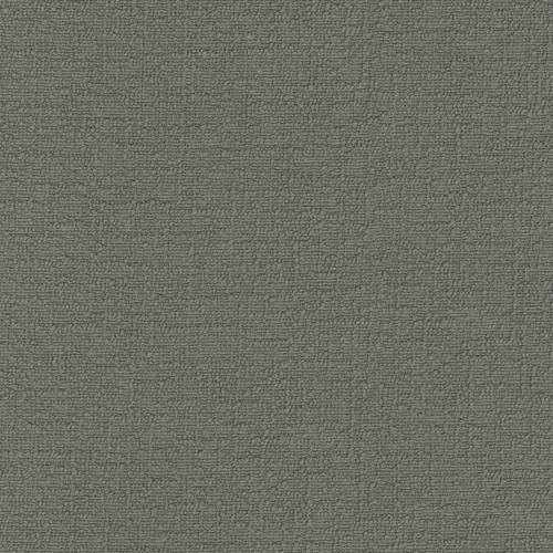 CIRRUS Fossil