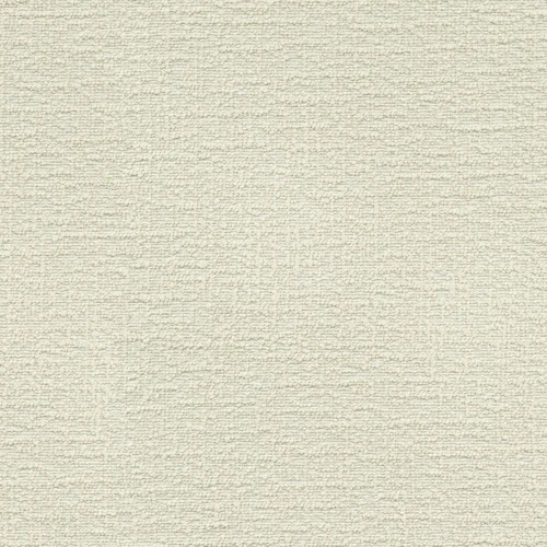 CIRRUS Cream