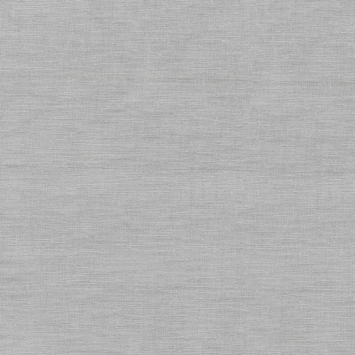 IRIDESCENCE SHEER Silver