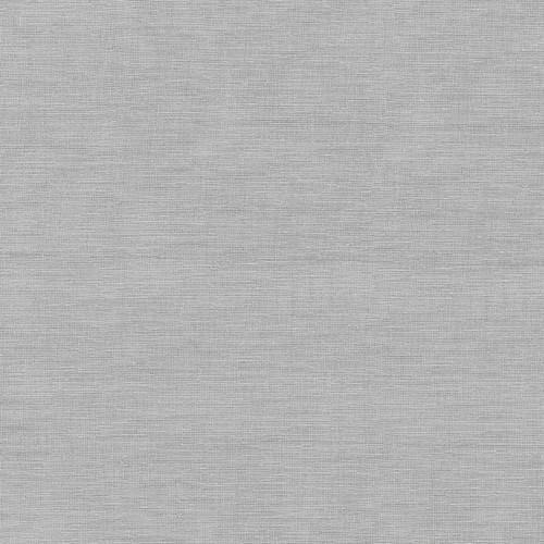 IRIDESCENCE SHEER Silver