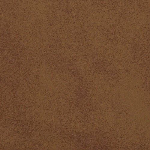 MOJAVE Acorn