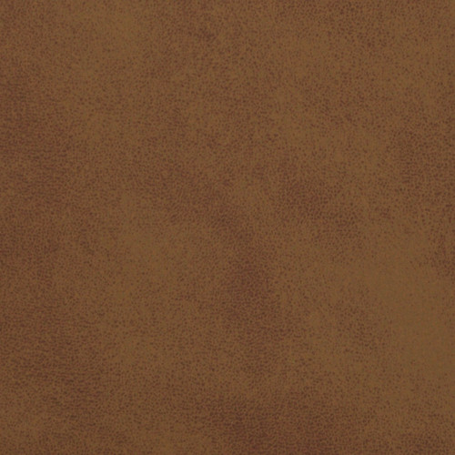 MOJAVE Acorn
