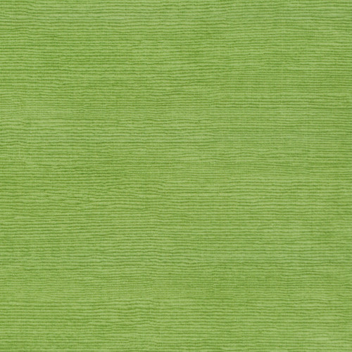 FRAISER Leaf