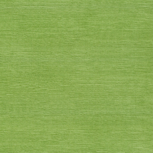 FRAISER Leaf