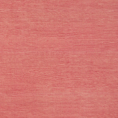 FRAISER Tulip