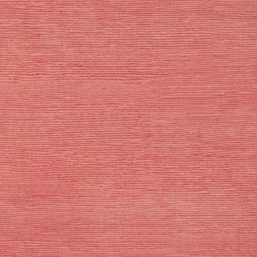 FRAISER Tulip