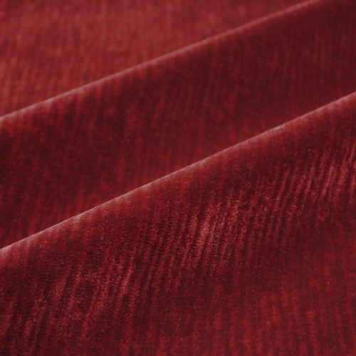 PERF DYNASTY Ruby